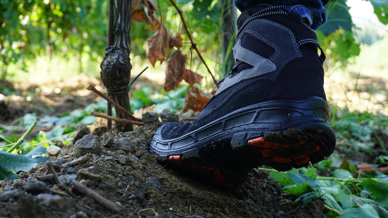 Carica immagine in Galleria Viewer, AW EOS WP S3 WR CI HI HRO SRC