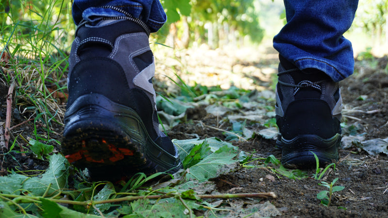 Carica immagine in Galleria Viewer, AW EOS WP S3 WR CI HI HRO SRC