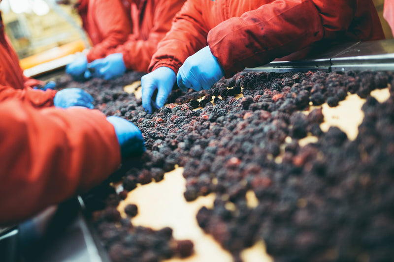 Carica immagine in Galleria Viewer, SHOWA 7502PF MONO NIT. BIOD. SP. 0,06