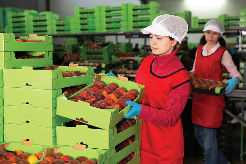 Carica immagine in Galleria Viewer, SHOWA 7502PF MONO NIT. BIOD. SP. 0,06