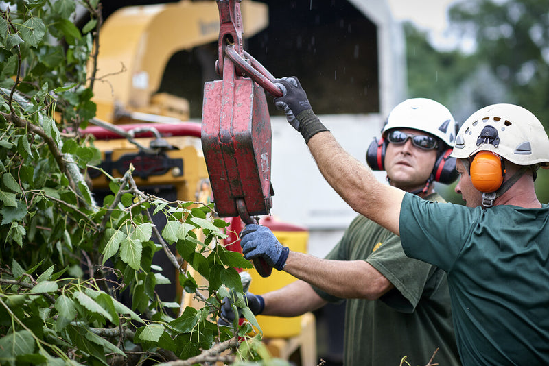Carica immagine in Galleria Viewer, SHOWA 341 GRIGIO MIC SPALMATO LATTICE